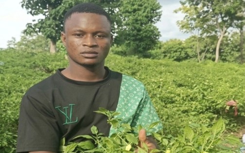 Mechanized Agroecological Farm